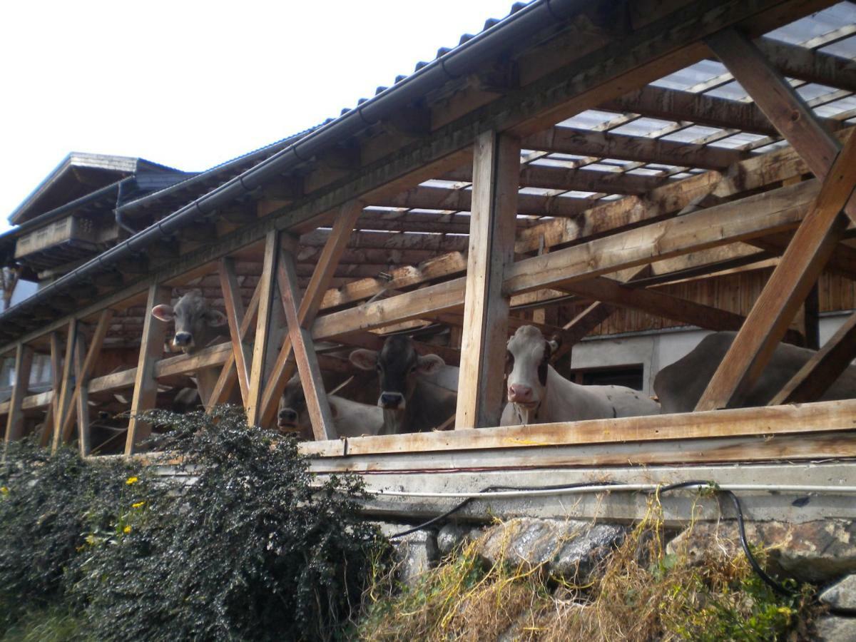 Weberhof Villa Trins Exterior foto